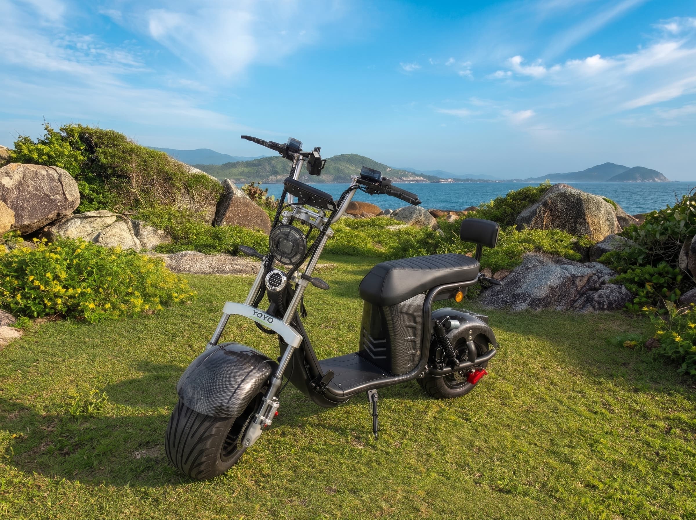 Scooter elétrica V09 preta com pneus largos e encosto traseiro em um gramado à beira-mar